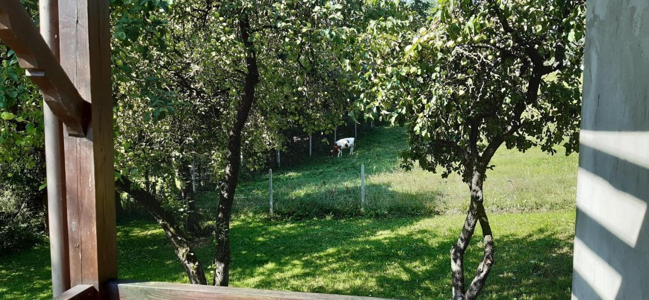 Agroturystyka Nad Czarnym Giby Exteriör bild